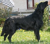 Blade16Months2smaller