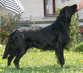 Blade16Months2smallest