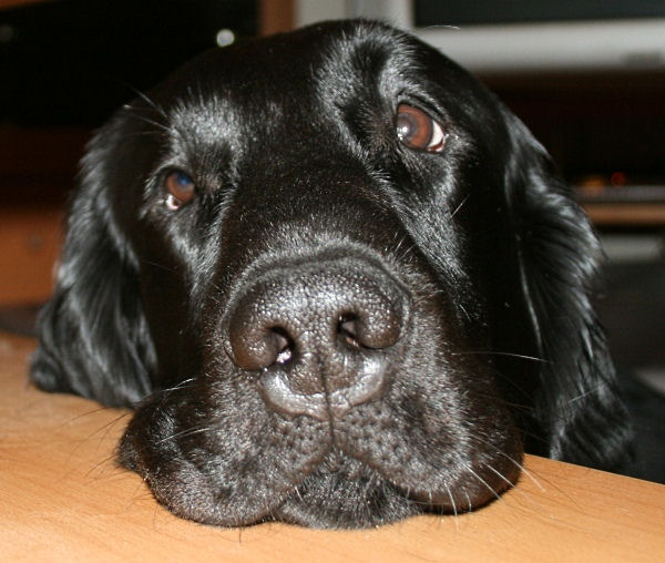 Cash09Juni2 Cash09Juni2