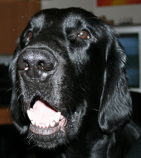 Cash09Juni4