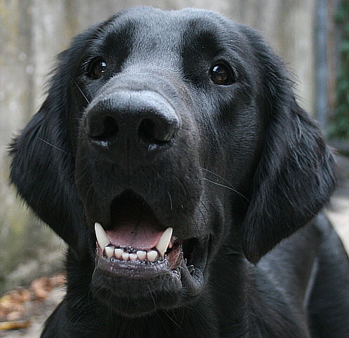 Cash10MonthsHead2 Cash10MonthsHead2