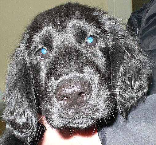 Cash10Weeks1