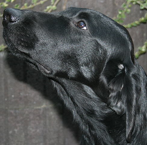 Cash7Months4 Cash7Months4