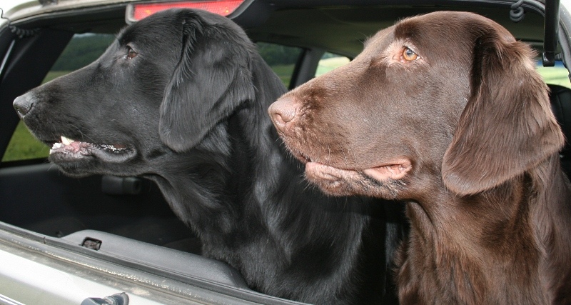 CashGingJun2 CashGingJun2