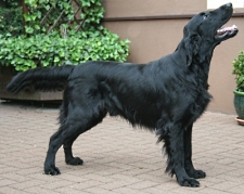 CashJune7neusmallest6