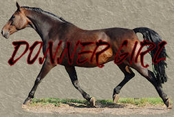 DeliceFoto1neulink