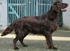 GingerJuli1Neusmallest