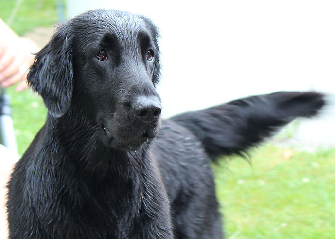 Gwen13July14HP Gwen13July14HP