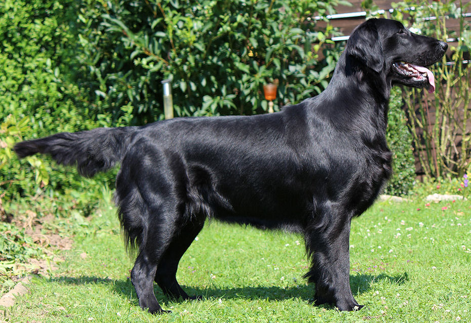 Gwen14July14HP Gwen14July14HP