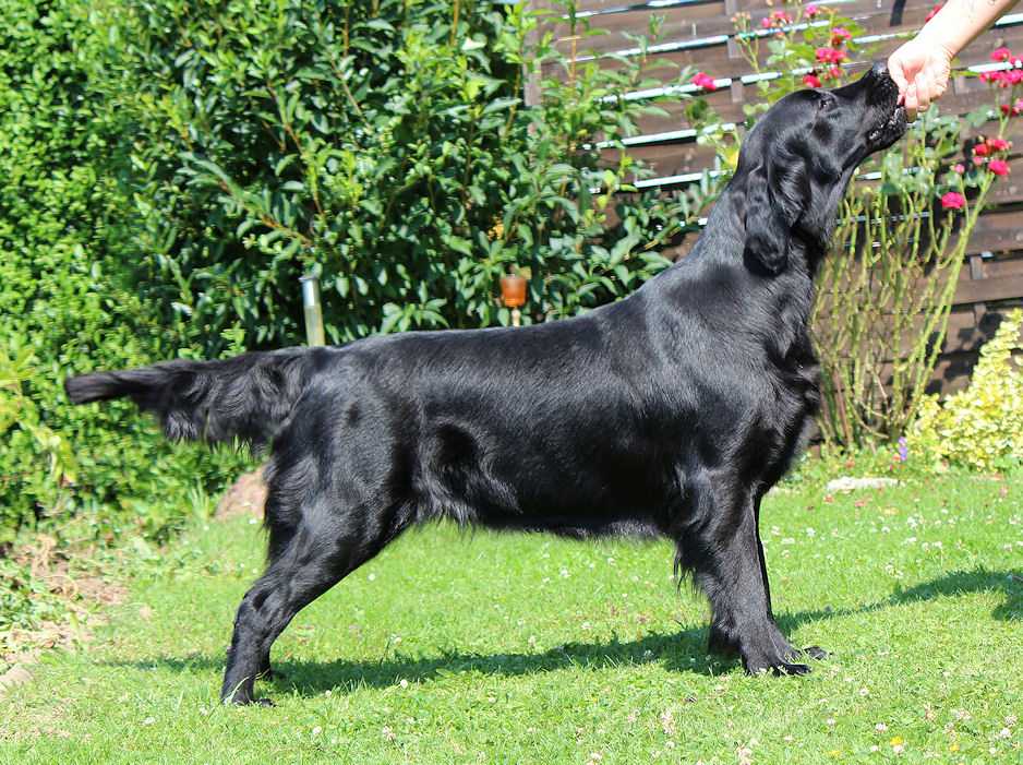 Gwen15July14HP Gwen15July14HP