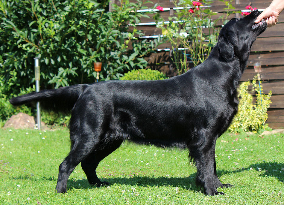 Gwen16July14HP Gwen16July14HP