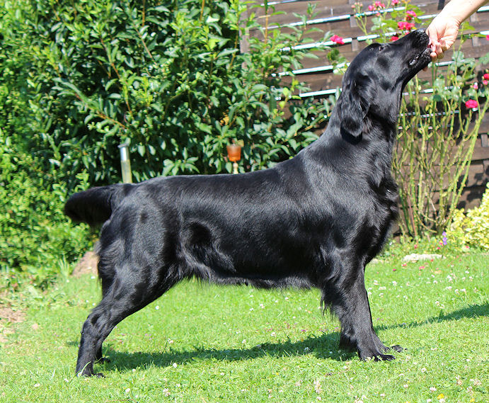 Gwen17July14HP Gwen17July14HP