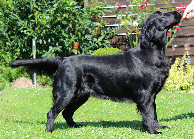 Gwen19July14HP Gwen19July14HP