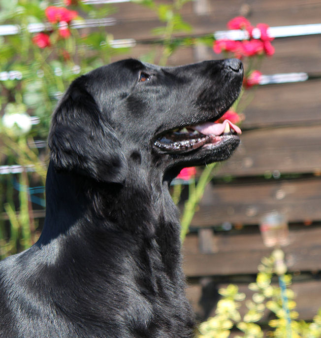 Gwen1July14 Gwen1July14