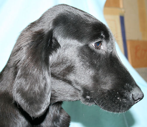 Gwen3Mai2010 Gwen3Mai2010