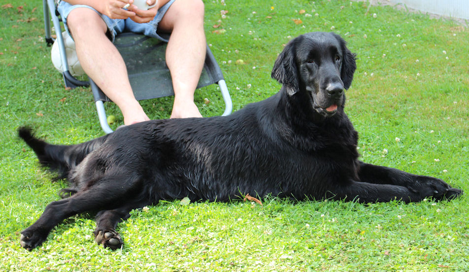 Gwen5July14HP Gwen5July14HP