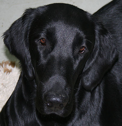 Gwen9Months2 Gwen9Months2