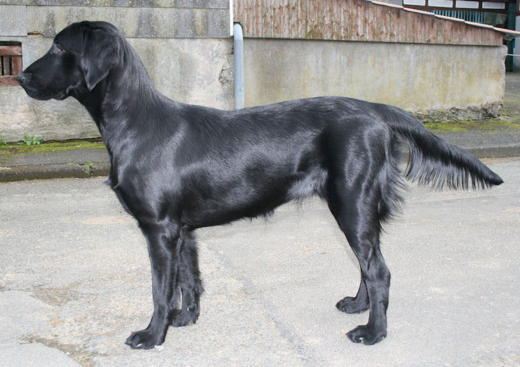 Gwen9MonthsStand3 Gwen9MonthsStand3