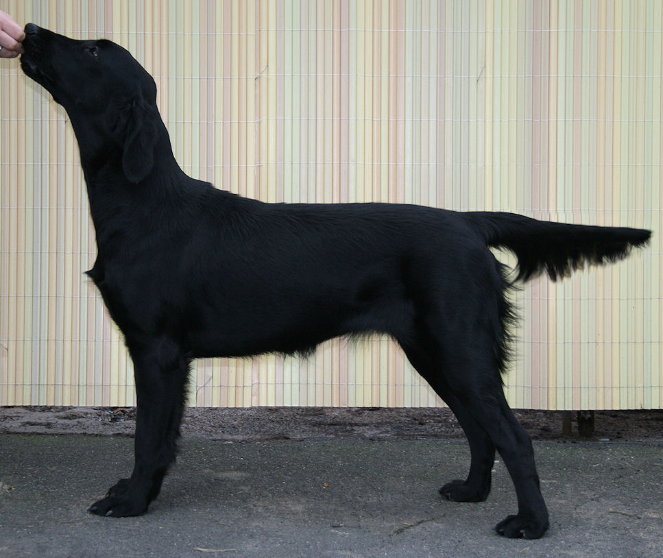 Gwen9MonthsStand4 Gwen9MonthsStand4