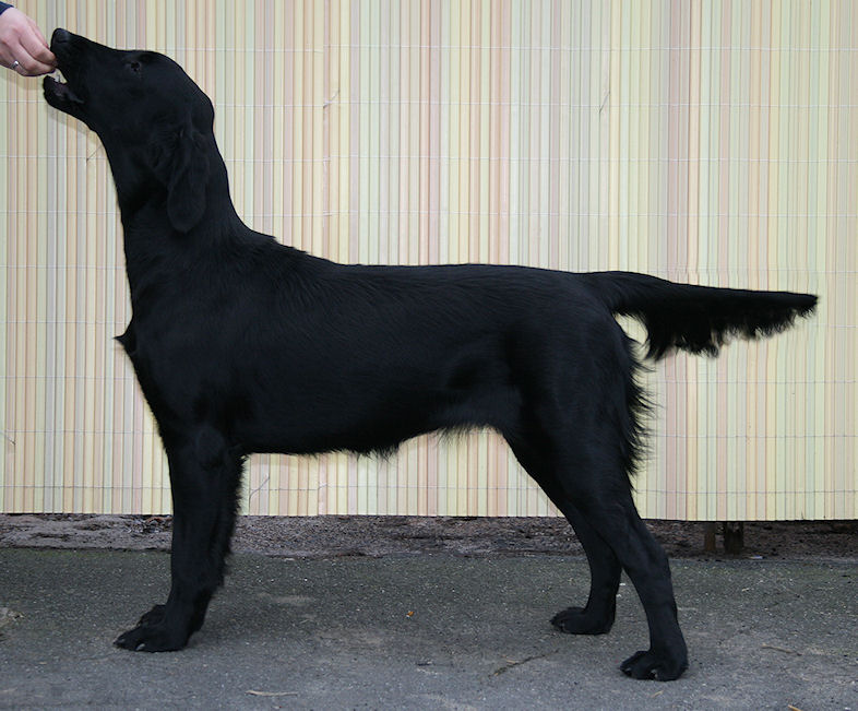 Gwen9MonthsStand5 Gwen9MonthsStand5