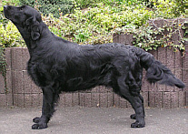 HopeApril06.1kleiner