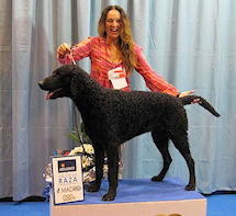 IMG_4506CocoChampionsmall