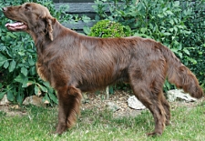 Justinstand09July5neusmallest