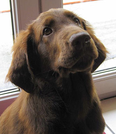 KidsofBlade10 KidsofBlade10