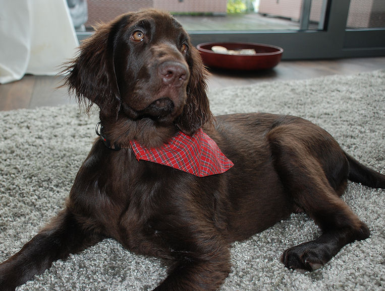 KidsofBlade11 KidsofBlade11