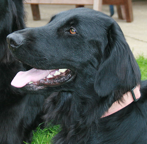 KidsofBlade2 KidsofBlade2