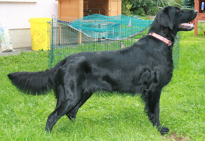 KidsofBlade3 KidsofBlade3