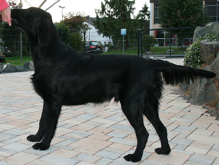 KidsofBlade4 KidsofBlade4