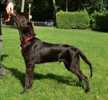 KidsofBlade5 KidsofBlade5