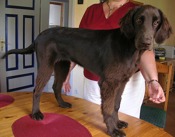 KidsofBlade6 KidsofBlade6