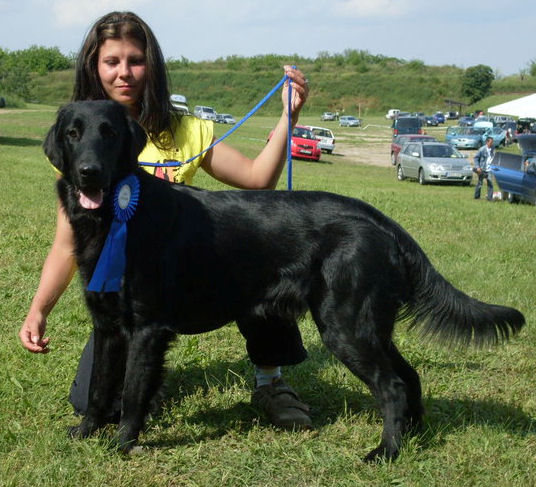 KidsofBlade7 KidsofBlade7