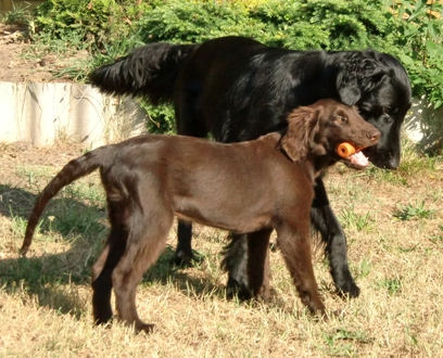 KidsofBlade9 KidsofBlade9