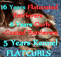 LunaPuppies12Days6smallernew