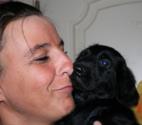 MelodyPuppies8WeeksMae2