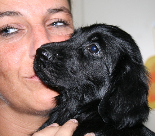 MelodyPuppies8WeeksMae3