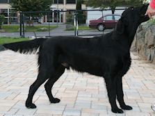 Storm8Months2neusmall