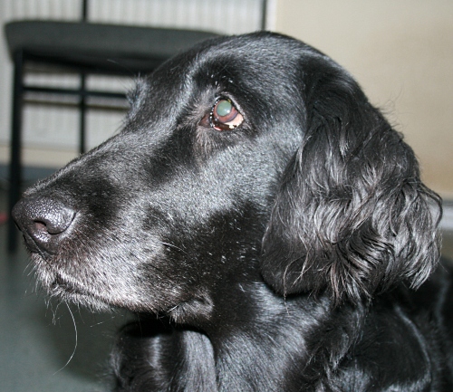 Touli09Juli1 Touli09Juli1