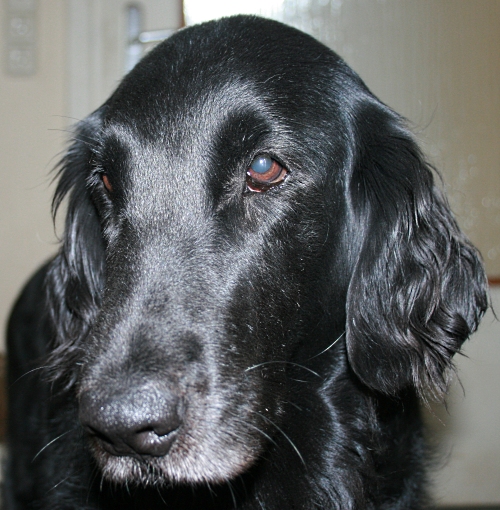 Touli09Juli5 Touli09Juli5