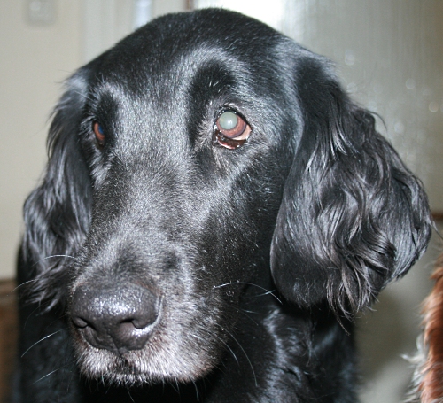 Touli09Juli6 Touli09Juli6