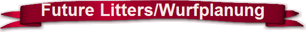 Future Litters/Wurfplanung