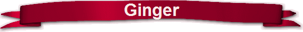 Ginger