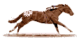 galloappy