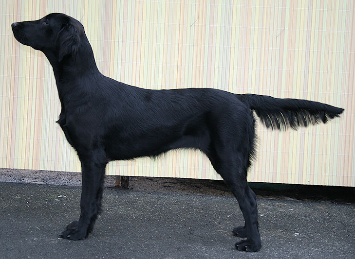 gwenstand7Monategross