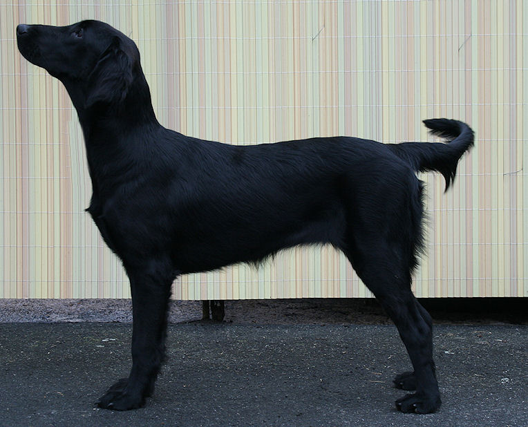 gwenstand7Monategross2 gwenstand7Monategross2